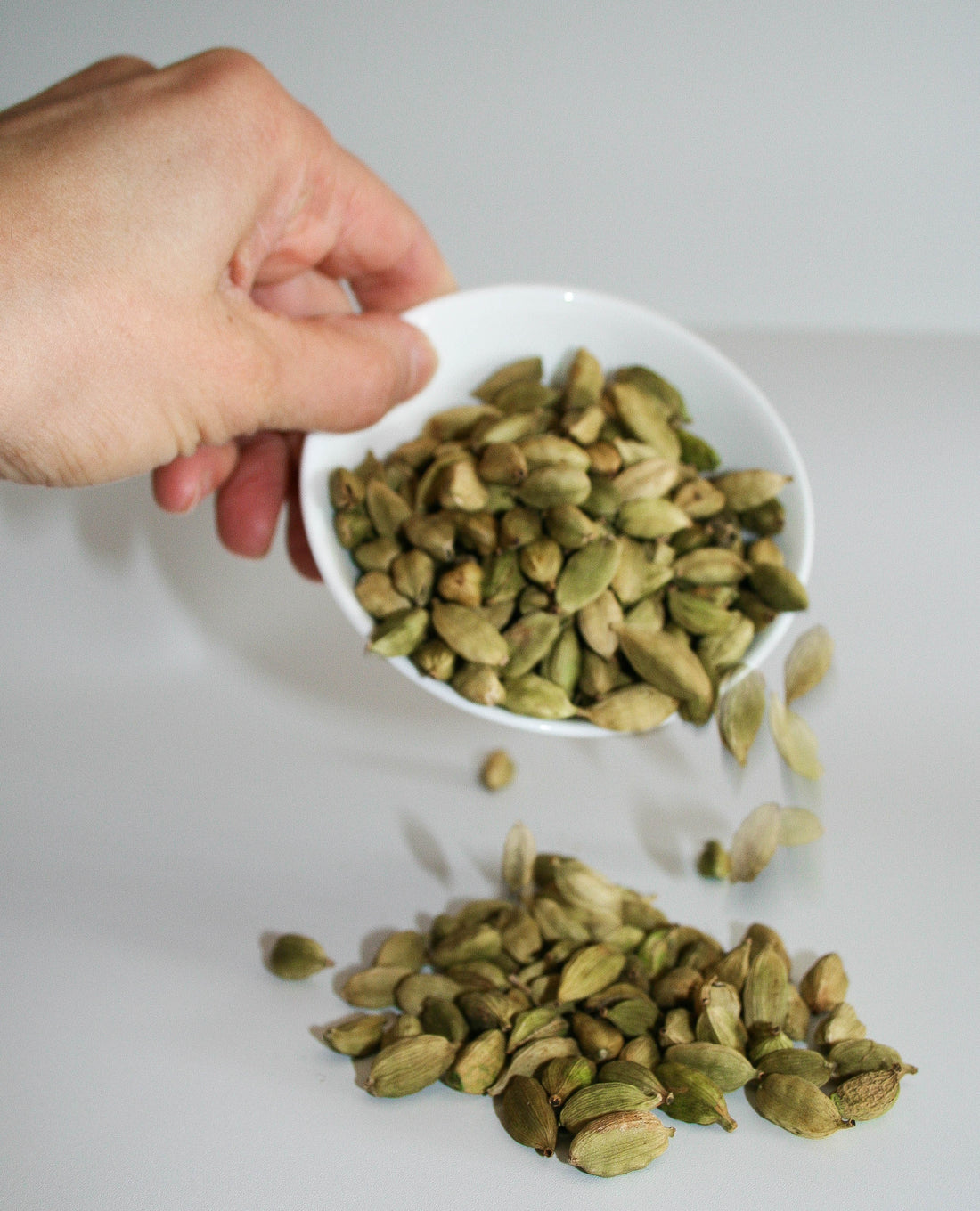 Focus on: INGREDIENTI - Il cardamomo verde