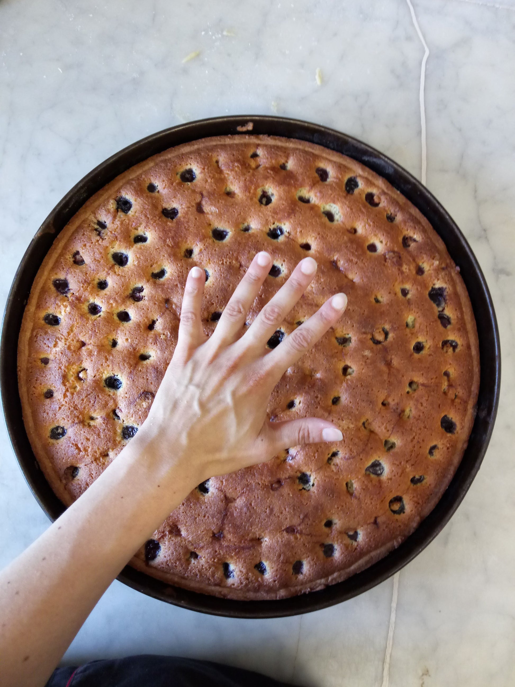 Torta